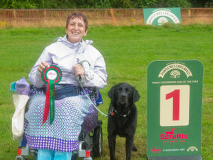 Supporting image for story: Invaluable assistance dog to compete at Crufts after winning 'Good Citizen' prize