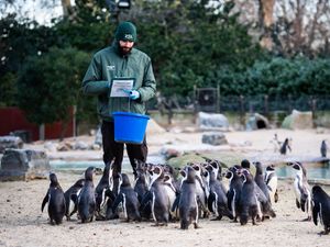 Supporting image for story: London Zoo celebrates bicentenary with annual stocktake