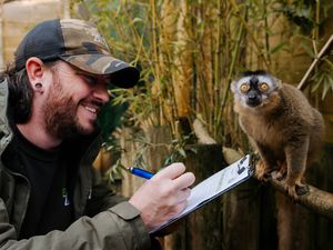 Supporting image for story: Award-winning Telford exotic zoo attraction gets marketing boost from Bridgnorth firm