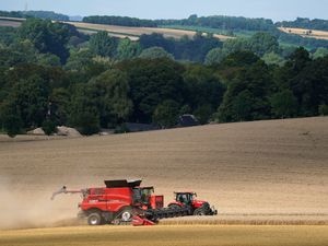 Supporting image for story: Thousands of farmers facing uncertainty over payments to protect nature
