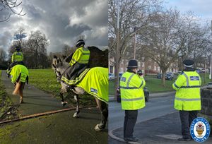 West Midlands Police's mounted unit carried out an operation at Priory Park, Dudley