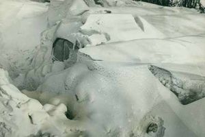 Supporting image for story: Blog: It's nice to be mobile after the snows