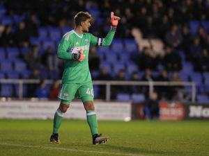 Supporting image for story: Neil Cutler: Alex Palmer can star for West Brom