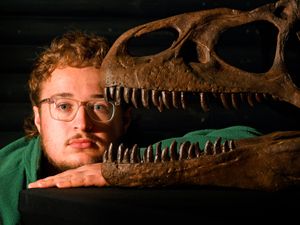 Supporting image for story: Telford zoo hires full-time palaeontologist as owner eyes up museum status