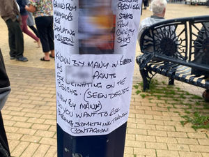 Supporting image for story: Posters plastered around Bilston alleging woman's crimes cause a stir on social media