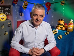 Supporting image for story: Rowan Atkinson hopes to inspire new bee lovers with his CBeebies Bedtime Story