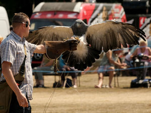 Supporting image for story: 20 wonderful pictures from the fabulous 31st Kington Vintage Show