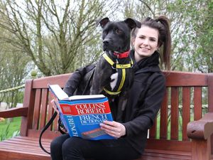 Supporting image for story: Pooch will swap Shrewsbury for France