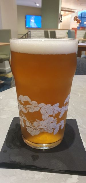 Midway Session IPA was one of the many beers on offer