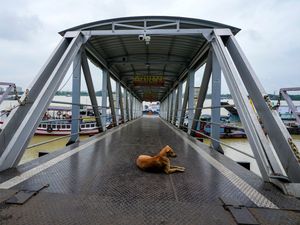 Supporting image for story: Tropical storm makes landfall in India, brings torrential rain and destruction