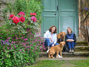 Supporting image for story: Walcot Hall opening up garden and arboretum for charity this weekend
