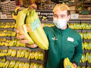 Supporting image for story: Morrisons to ban plastic packaging on all bananas