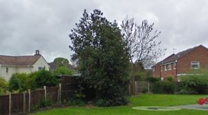 The two play area trees. Picture: Google Maps