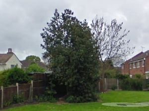 Supporting image for story: Telford play area’s overgrown trees set to be cut back for first time in eight years