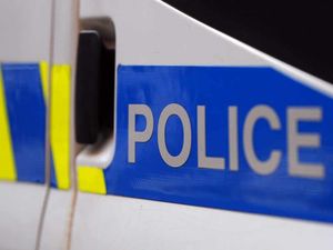 Supporting image for story: Police appeal to trace van involved in hit and run which killed woman in her 80s  