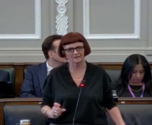 Birmingham Councillor Lisa Trickett at the budget meeting on February 24. Taken from council webcast.