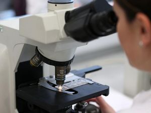 Supporting image for story: Advanced prostate cancer ‘Achilles’ heel’ targeted by scientists