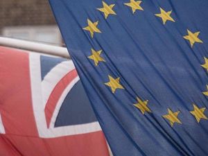 Supporting image for story: Brexit go-it-alone makes no sense