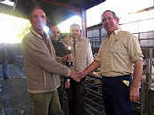 Supporting image for story: Auction yard is venue for sale