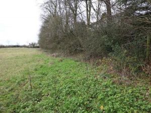 Supporting image for story: Offa's Dyke: Britain's longest ancient monument to be restored 