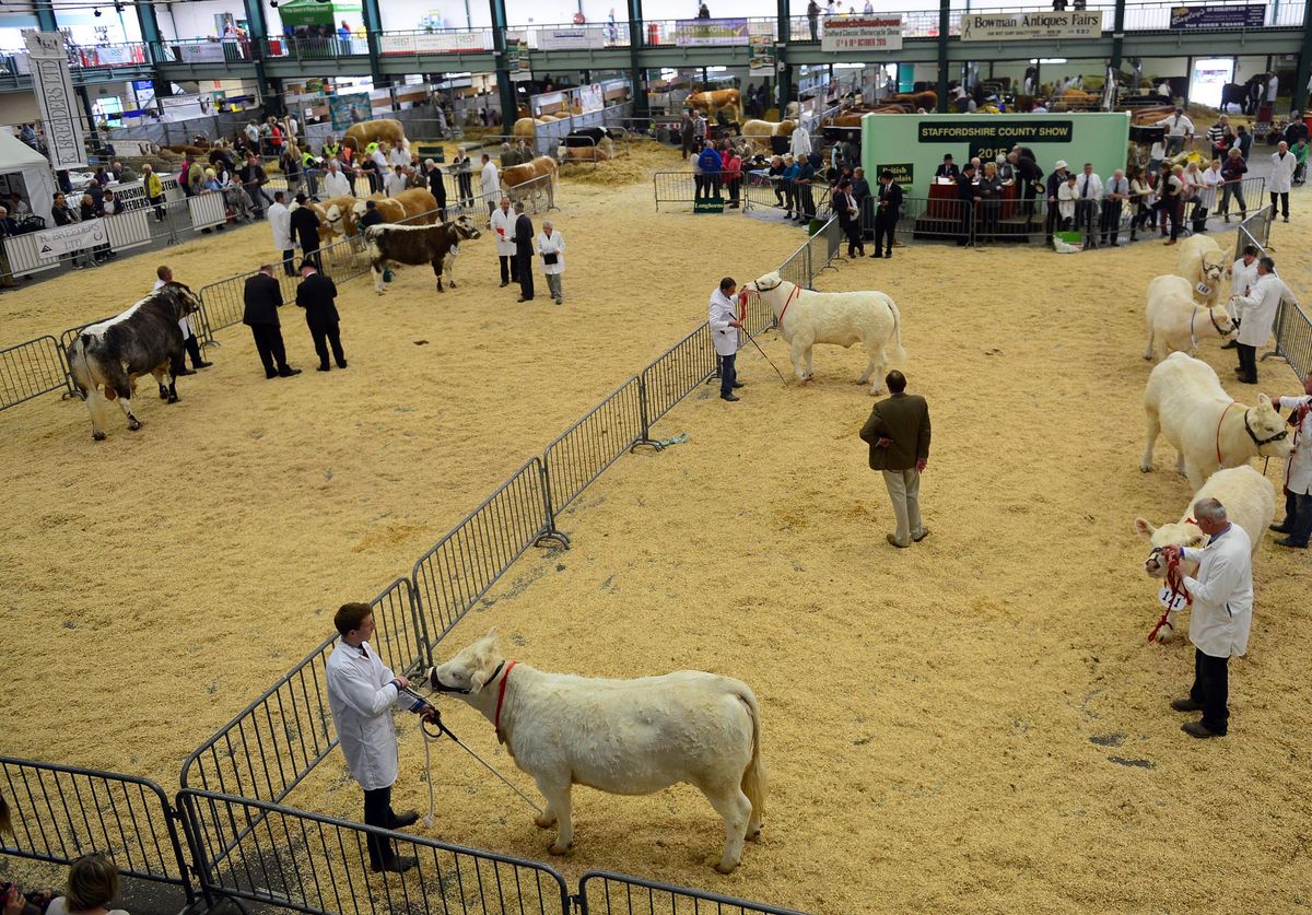 What you can expect at the Staffordshire County Show as showpiece event ...
