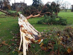 Supporting image for story: Winds of up to 84mph and 'tornadoes' cause chaos in Shropshire and Mid Wales