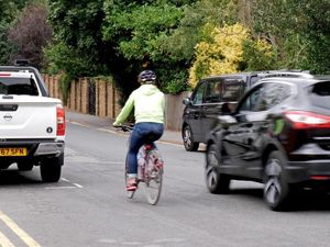 Supporting image for story: Most drivers have never heard of ‘Dutch Reach’ despite government pledge