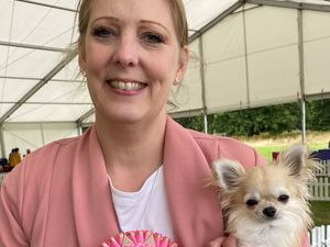 Supporting image for story: Stourbridge teacher heading to Crufts with her 'bonkers' Chihuahua who does little pirouettes
