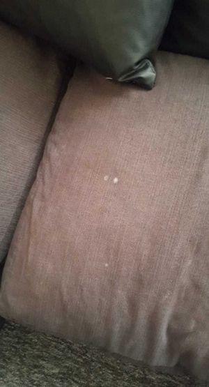 Dampness problems in Katie Whitehouse's flat. Credit: Katie Whitehouse