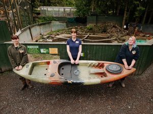Supporting image for story: Otters get a new floating playground thanks to generous donation from kayak company
