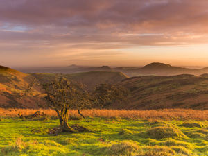 Supporting image for story: Shropshire photographer captures beauty and the best of nature’s wonders
