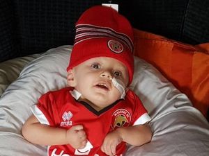 Supporting image for story: Brave one-year-old Teddie to be Walsall FC mascot