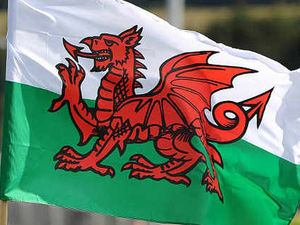 Supporting image for story: Mid Wales pupils facing cut to Welsh lessons