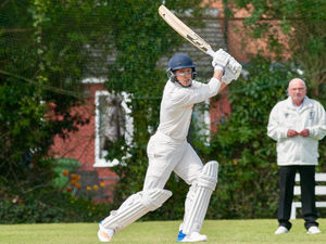 Supporting image for story: Craig Heath is the star turn for Sentinel