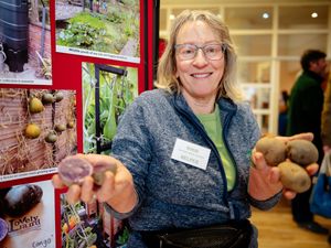 Supporting image for story: Hundreds of Salopians pay homage to the humble spud at gardeners' Potato Day event