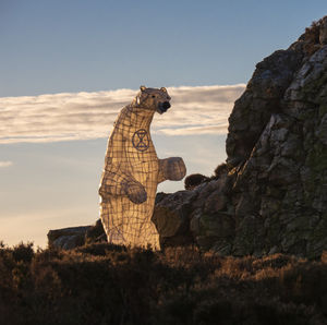 Clarion the Polar Bear by Bamber Hawes. Picture: Andrew Fusek Peters