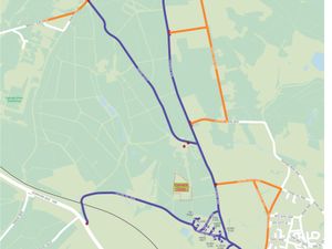 Supporting image for story: Information released on impact of Games event in Cannock Chase Forest