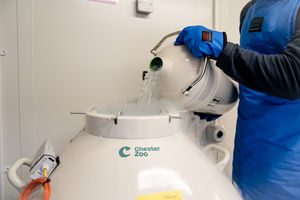 The project project aims to safeguard the genetic material of both native and globally threatened species. Picture: Chester Zoo