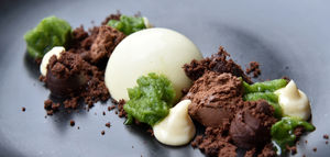 Chocolate course – dark chocolate ganache and crumb, vanilla pastry cream and iced lovage