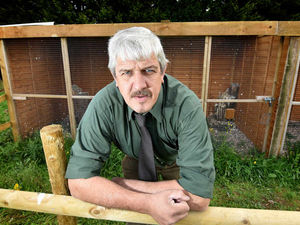 Supporting image for story: 'I can't go on like this': Keeper steps down after 10 birds stolen