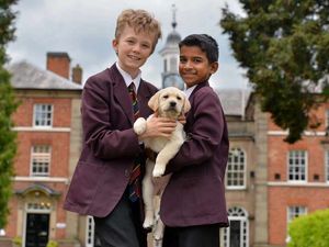 Supporting image for story: Pictures: Adorable Pi is Shropshire school's latest recruit