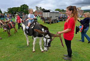 Rosealie Mason-White, aged three, from Telford, enjoys a donkey ride at the show