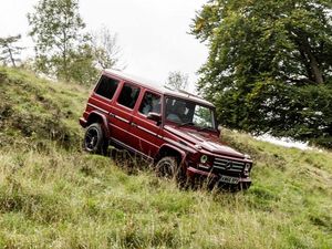 Supporting image for story: Off-road and living off the land in a Mercedes-Benz G-Class
