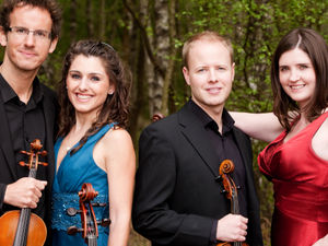 Supporting image for story: Classical and jazz sounds as music trust confirms first concerts for next year