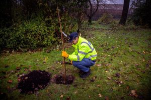 Severn Trent Water tree planting campaign
