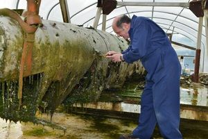 Aircraft technician John Warburton at work on the outside of the Dornier
