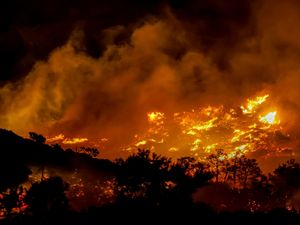 Supporting image for story: Hotels and homes on Crete evacuated as wildfire burns out of control