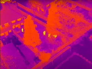 Supporting image for story: Drone helps to capture suspected car thief hiding in garden after high-speed chase