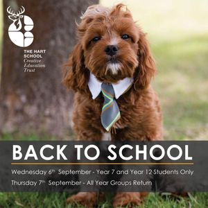 Rufus the cavapoo is a therapy dog at The Hart School in Rugeley.
