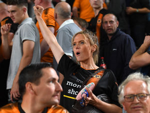 Supporting image for story: Hull City 2 Wolves 3 - Find your face in the crowd